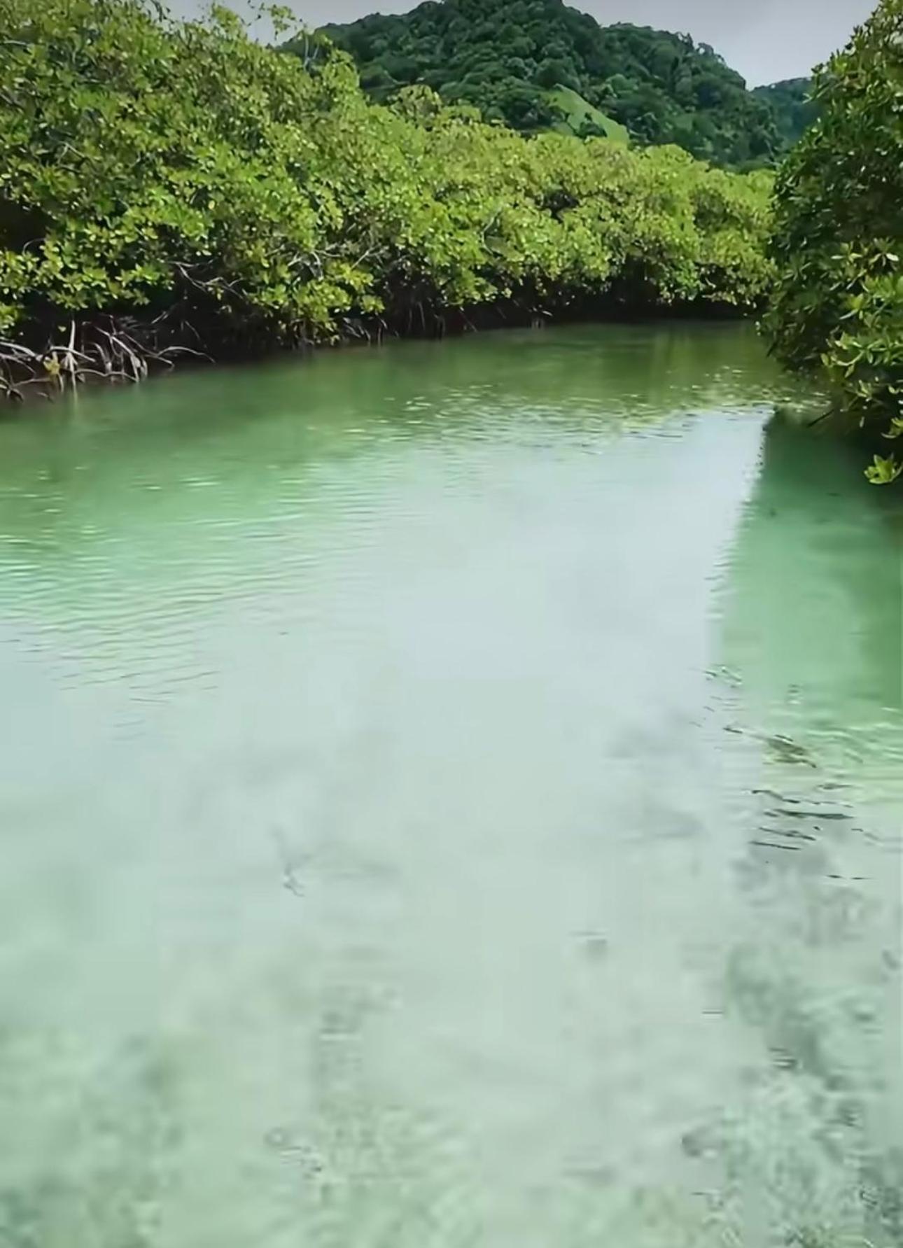 Hotel Ranchos De Chalia Panama Portobelo Zewnętrze zdjęcie