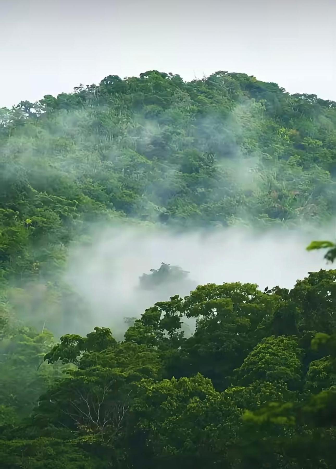 Hotel Ranchos De Chalia Panama Portobelo Zewnętrze zdjęcie
